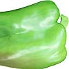 Capsicum Chinese Giant